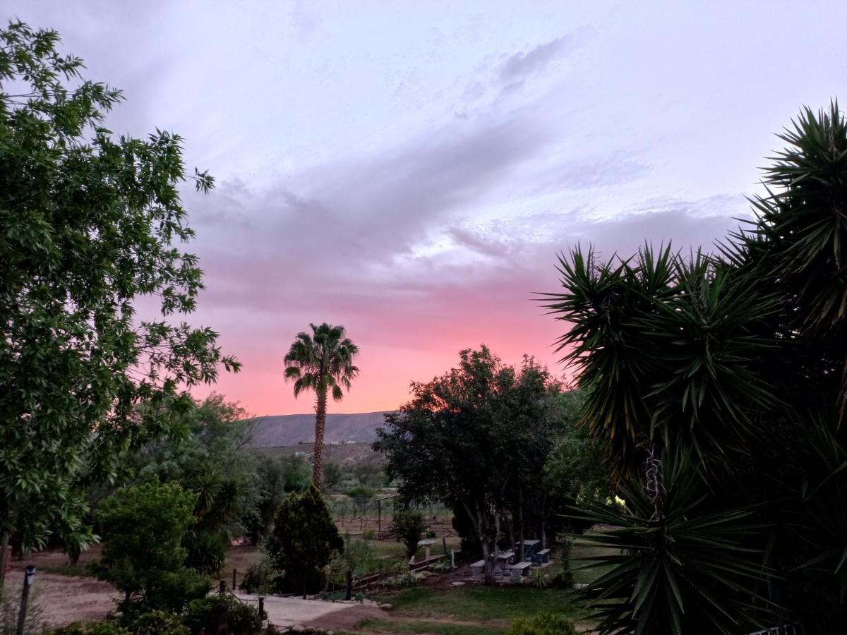 Karoo Life B&B Calitzdorp Esterno foto
