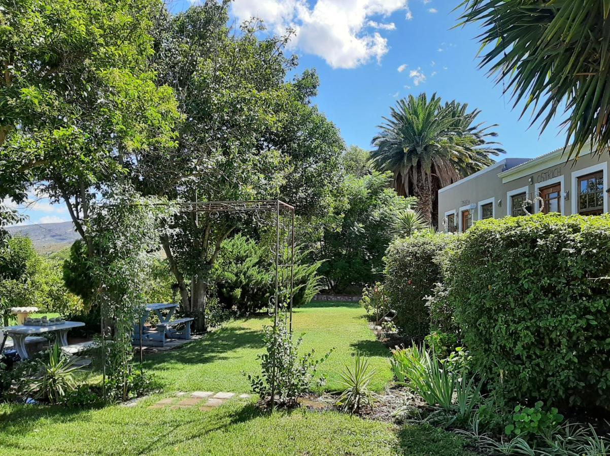 Karoo Life B&B Calitzdorp Esterno foto
