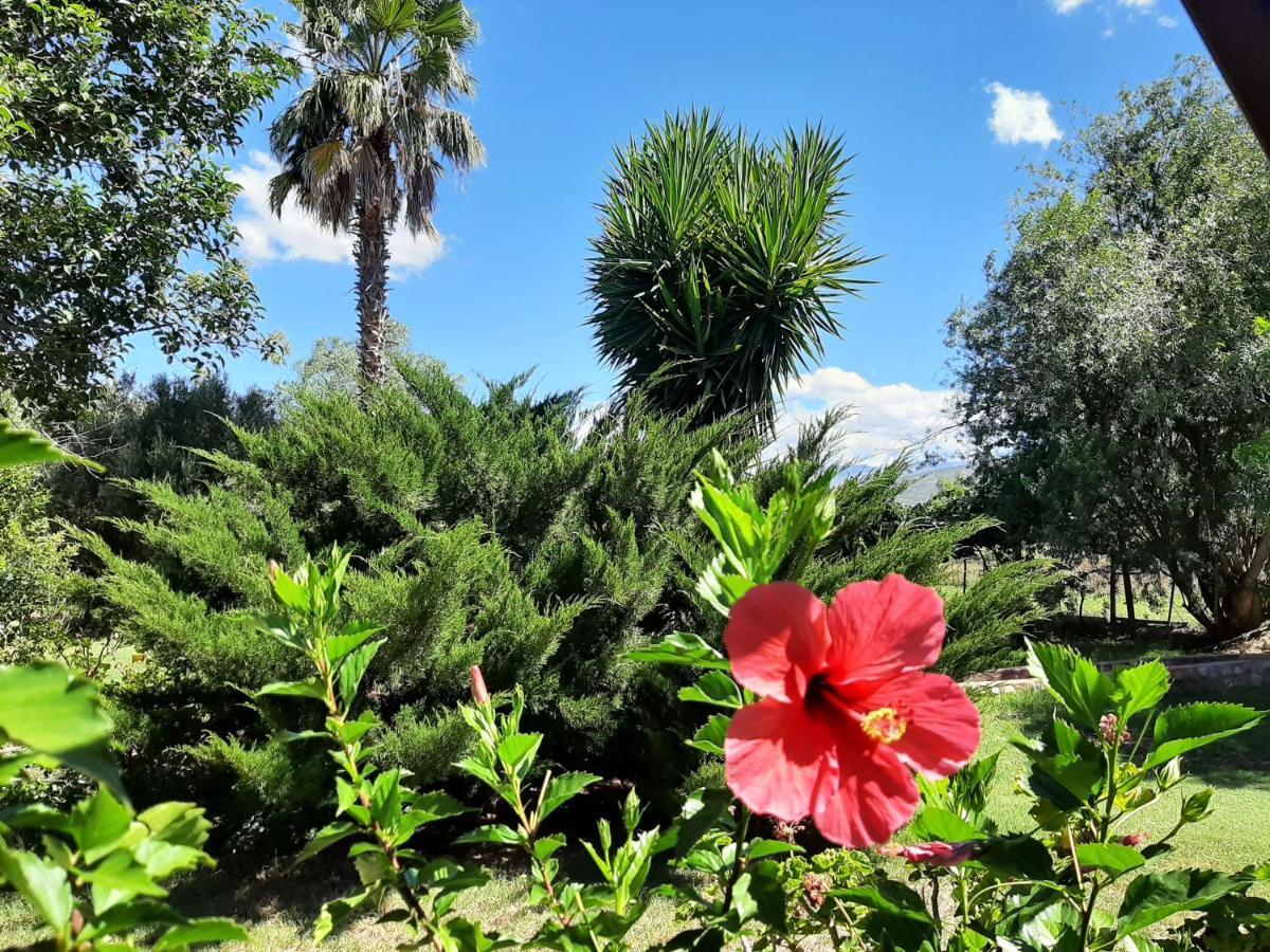 Karoo Life B&B Calitzdorp Esterno foto