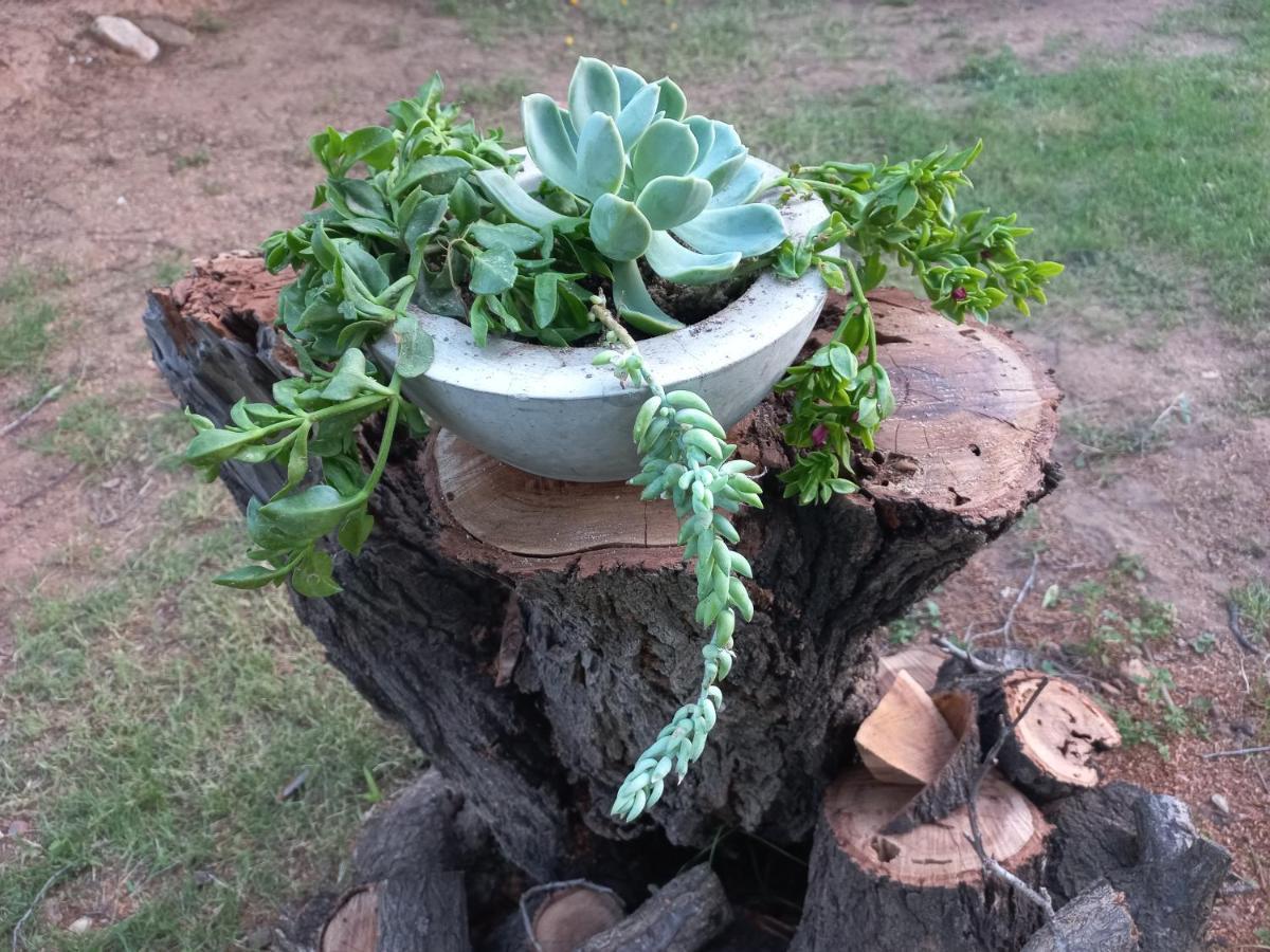 Karoo Life B&B Calitzdorp Esterno foto